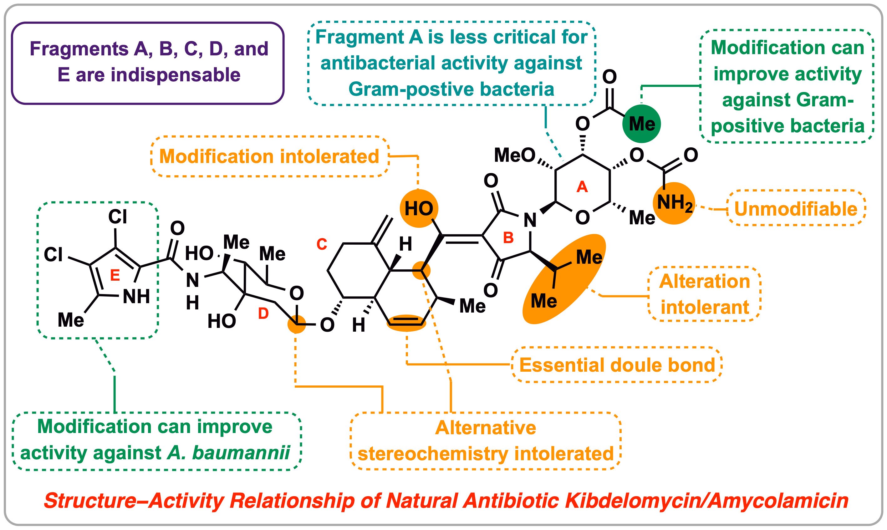 《20241009-Angew. Chem-李超-图2. AMMKBD结构-活性关系》.jpg