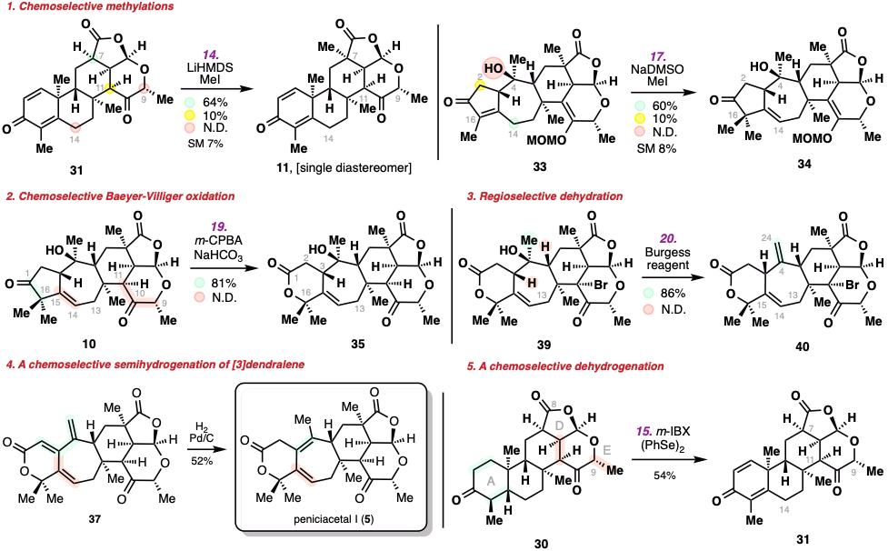 20250211-JACS-李超-2. 多步化学选择性和区域选择性转化的突破。.jpg