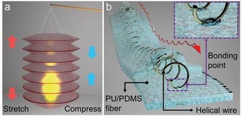 20230303-电子皮肤新闻稿-任天令课题组-图2 (a)手风琴灯笼的结构和(b)皮上螺旋互连薄膜的设计结构.jpg