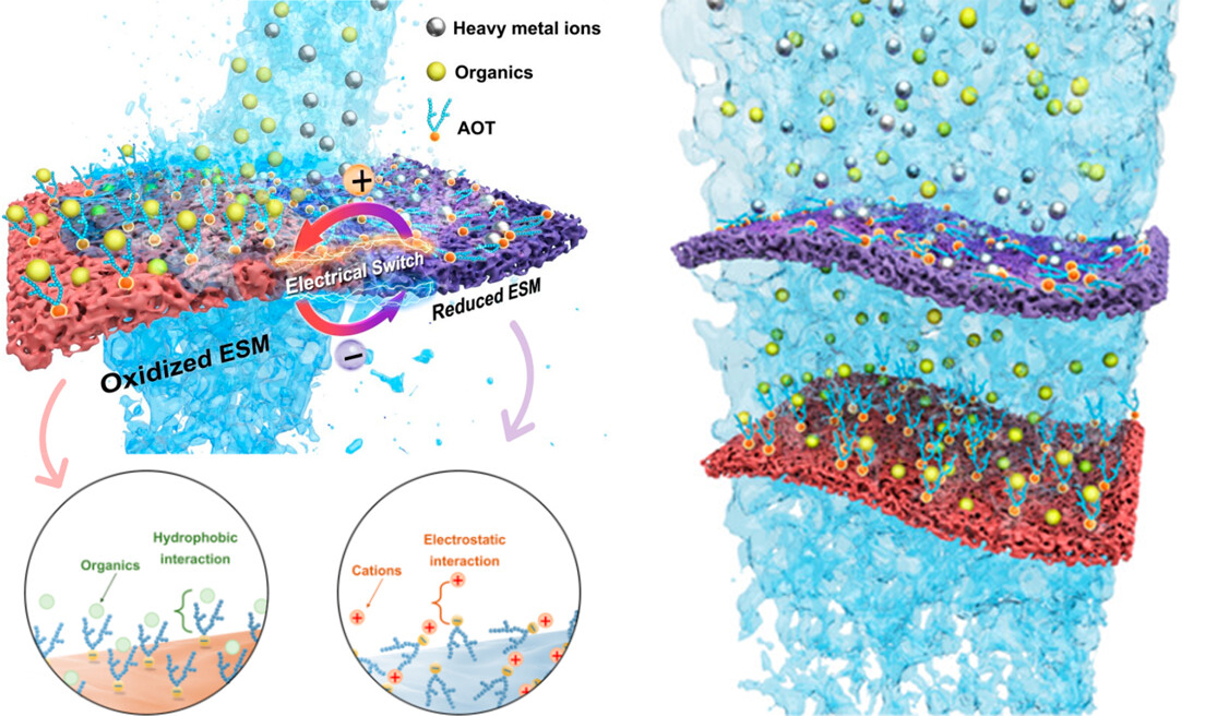 20240524-环境学院兰华春团队在新型电控吸附膜研究方面取得系列进展-刘烈-图2 两亲AOT分子掺杂电控吸附膜工作原理.jpg